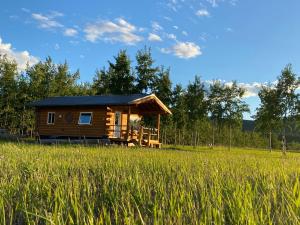 a cabin in the middle of a field at Oma's and Opa's Northern Lights Viewing Cabin in Whitehorse