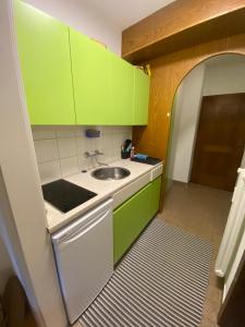 a kitchen with green cabinets and a sink at NOCK - Zentrum Studio in Bad Kleinkirchheim