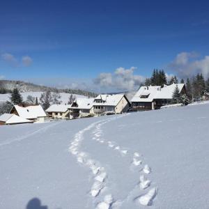 a snow covered field with footprints in the snow at Natur Pur im Hochschwarzwald in Herrenschwand