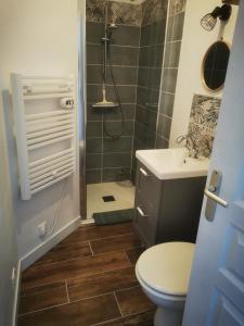 a bathroom with a shower and a toilet and a sink at Appartement Indépendant à Terrerort in Saumur