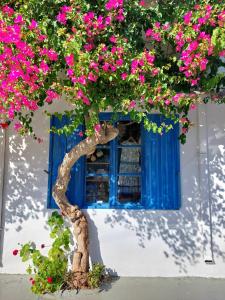 a tree with pink flowers in front of a blue window at Chez Cécile Home in Mochlos