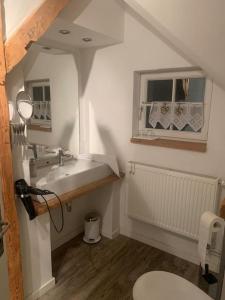 a bathroom with a sink and a toilet at Große Ferienwohnung im Landhaus Labes (Stechlinsee) in Neuglobsow