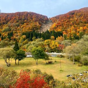 湯澤的住宿－Lakeside HANARE，享有山丘和田野树木的景色