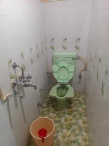 Musa's Homestay في جودبور: حمام مع مرحاض أخضر في كشك