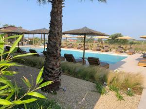 Bazén v ubytování Olivessa Resort - Adults only age16 plus nebo v jeho okolí