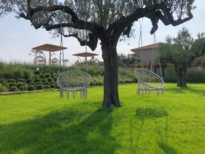 Zahrada ubytování Olivessa Resort - Adults only age16 plus