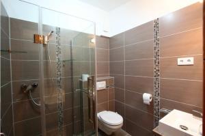 La salle de bains est pourvue de toilettes et d'une douche en verre. dans l'établissement Apartman Gondola, à Győr