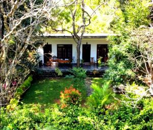 a house in the middle of a garden at The Cattleya Guest House in Sigiriya