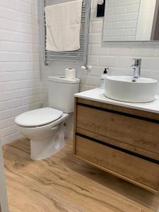 un bagno bianco con un water e un lavandino di Apartamentos el Sabinar a Anchuela del Campo