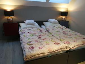 Un pat sau paturi într-o cameră la Glass Cottage in Jelenska Huta with terrace