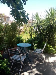 Φωτογραφία από το άλμπουμ του Les Toiles du Figuier σε Espéraza