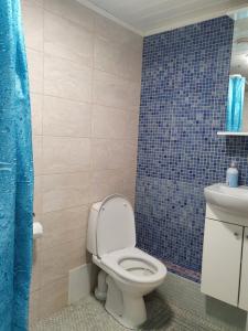 a bathroom with a toilet and a blue tiled wall at Freedom65 Hostel and Caravan in Tallinn