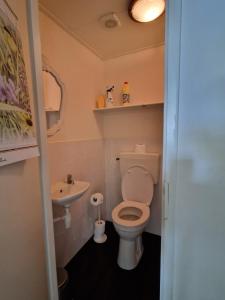 a small bathroom with a toilet and a sink at Stacaravan Q10 Marina Beach in Hoek