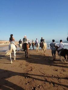 a group of people riding horses on the beach at Agadir aourir maroc in Aourir