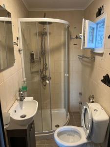 a bathroom with a shower and a toilet and a sink at Sunshine Apartments in Mákri