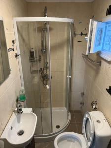 a bathroom with a shower and a toilet and a sink at Sunshine Apartments in Mákri