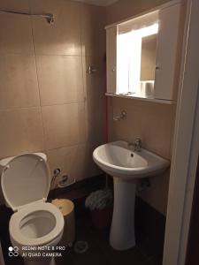 uma casa de banho com um WC e um lavatório em Ραπτη Θεοδωρα em Paralia Vrachou