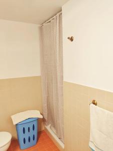 サンルーカル・デ・バラメダにあるPRECIOSO LOFT en PALACIO DE GODOYのバスルーム(トイレ、シャワーカーテン付)