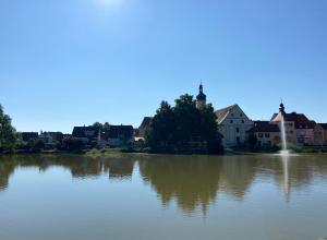 ein großer Wasserkörper mit Häusern im Hintergrund in der Unterkunft Ferienwohnung Seeblick in Allersberg