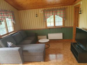 a living room with a couch and a tv at Villaberg in Arvika