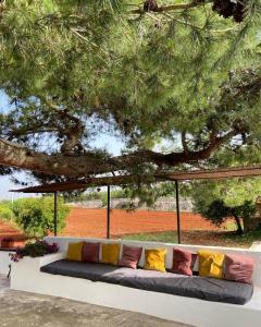 un canapé avec des oreillers colorés assis sous un arbre dans l'établissement Trullo Le radici del Pino, à Martina Franca