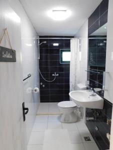 a bathroom with a toilet and a sink and a shower at House Monika in Krvavica