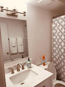 費爾班克斯的住宿－North Star Place 11，一间带水槽、卫生间和镜子的浴室