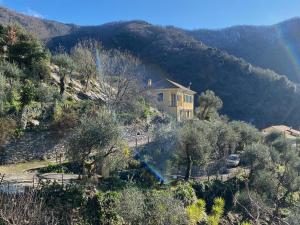 a house on the side of a hill with trees at Villa Monte Rosa al Golfo by PortofinoVacanze in Rapallo