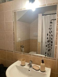 ヴィーコ・デル・ガルガーノにあるCasa Maremonti - Garganoのバスルーム(鏡付き洗面台、シャワー付)
