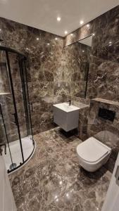 een badkamer met een toilet en een wastafel bij Dream apartment Finchley 4 min walk to the train in Hendon