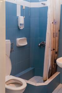 a blue bathroom with a toilet and a shower at Mistral in Souvala