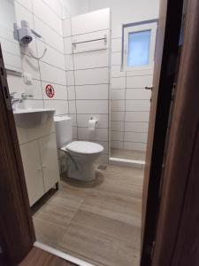 a bathroom with a toilet and a sink and a shower at Villa Olympia in Paralia Katerinis