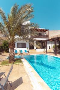 a swimming pool with a palm tree next to a house at Little Venice Chalet- Private Villa- Dead Sea Jordan in Sowayma