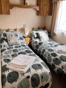 two beds sitting next to each other in a room at Cosy country style static holiday home in Aberystwyth