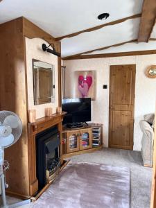 a living room with a fireplace and a tv at Cosy country style static holiday home in Aberystwyth
