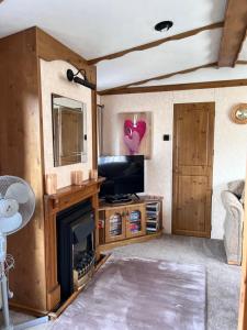 un soggiorno con camino e TV di Cosy country style static holiday home ad Aberystwyth