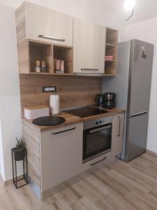 Kuchyň nebo kuchyňský kout v ubytování Apartment Mia 2