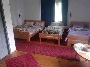 een kamer met drie bedden en een rood tapijt bij Stara planina, smestaj Ćirković in Pirot