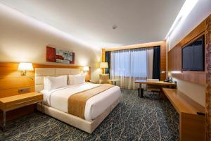 una camera d'albergo con letto, scrivania e TV di Holiday Inn Baku, an IHG Hotel a Baku