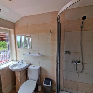 a bathroom with a shower and a toilet and a sink at Griežto 5 in Zarasai