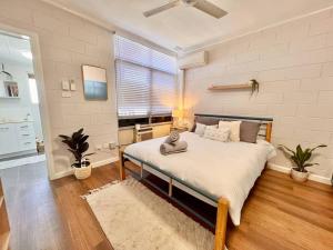 a bedroom with a bed with a cat sitting on it at Tidal Retreat in Port Hedland