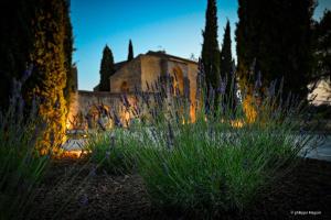 un jardín con flores púrpuras frente a un edificio en Château Saint-Pierre de Mejans, en Puyvert