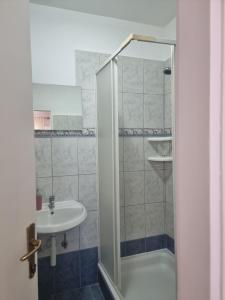 a bathroom with a shower and a sink at APARTMANI ALEN in Dinjiška +48 photos