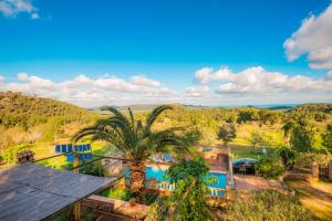 an aerial view of a house with a palm tree and a pool at Bonavista (Batle De Bonavista) in Felanitx
