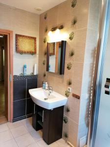 bagno con lavandino e specchio di Apartament Park Redena a Chorzów