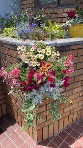 Фотография из галереи amaterrace в городе Мацумото