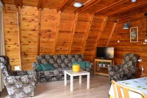 sala de estar con sofá, sillas y TV en Nowa Holandia en Sieraków