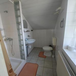 małą łazienkę z toaletą i umywalką w obiekcie Pokoje Gościnne u Huberta w mieście Sablówka