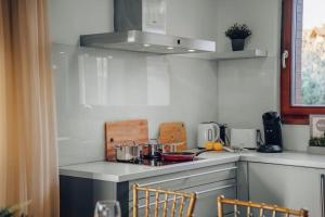 a kitchen with a counter with a stove top oven at Design Architect Villa with 2 Apartments in Prague +49 photos