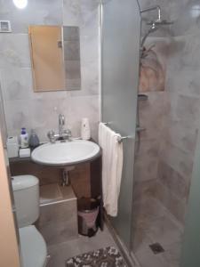 La salle de bains est pourvue d'un lavabo, de toilettes et d'une douche. dans l'établissement Razgrad home, à Razgrad